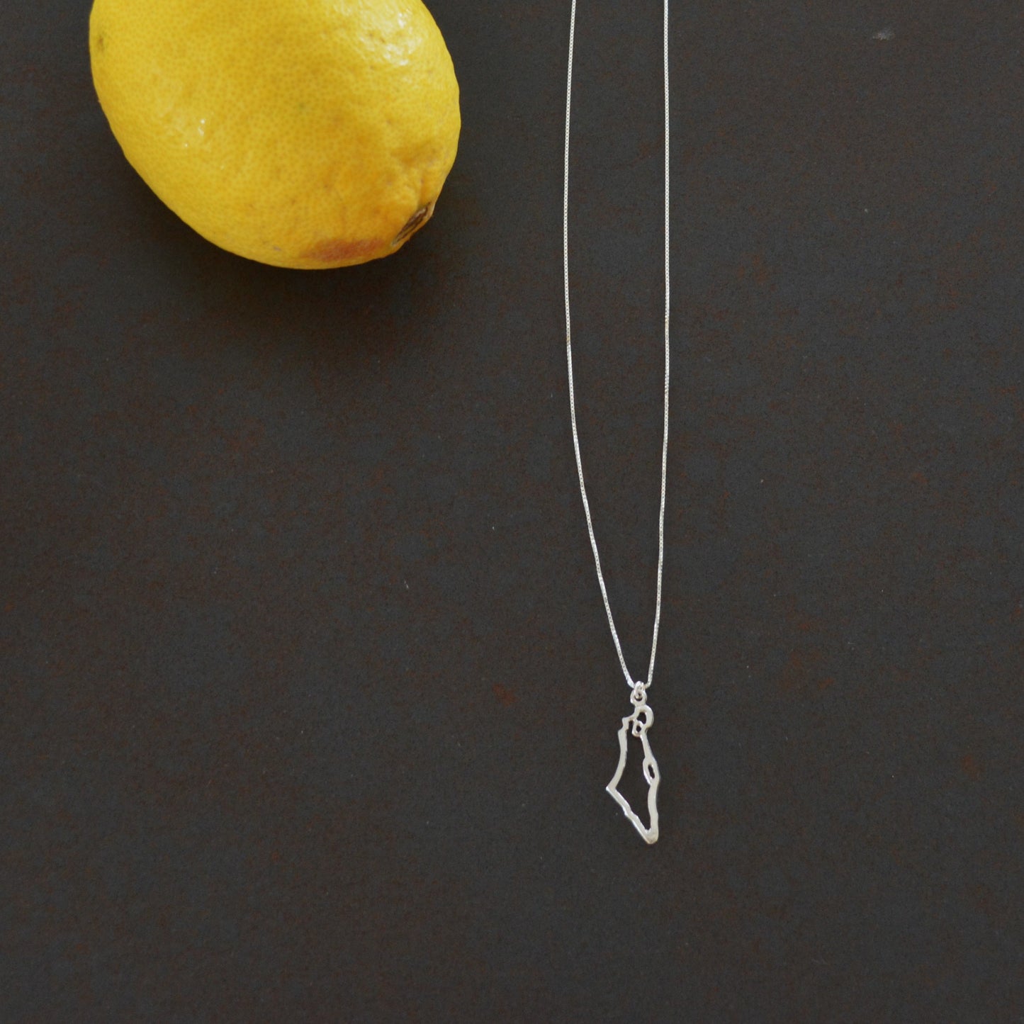 Map of Israel Necklace, Gold Israel Necklace, Holy land Pendant necklace,Israel Map Jewelry, Judaica Necklace,Jewish Jewelry