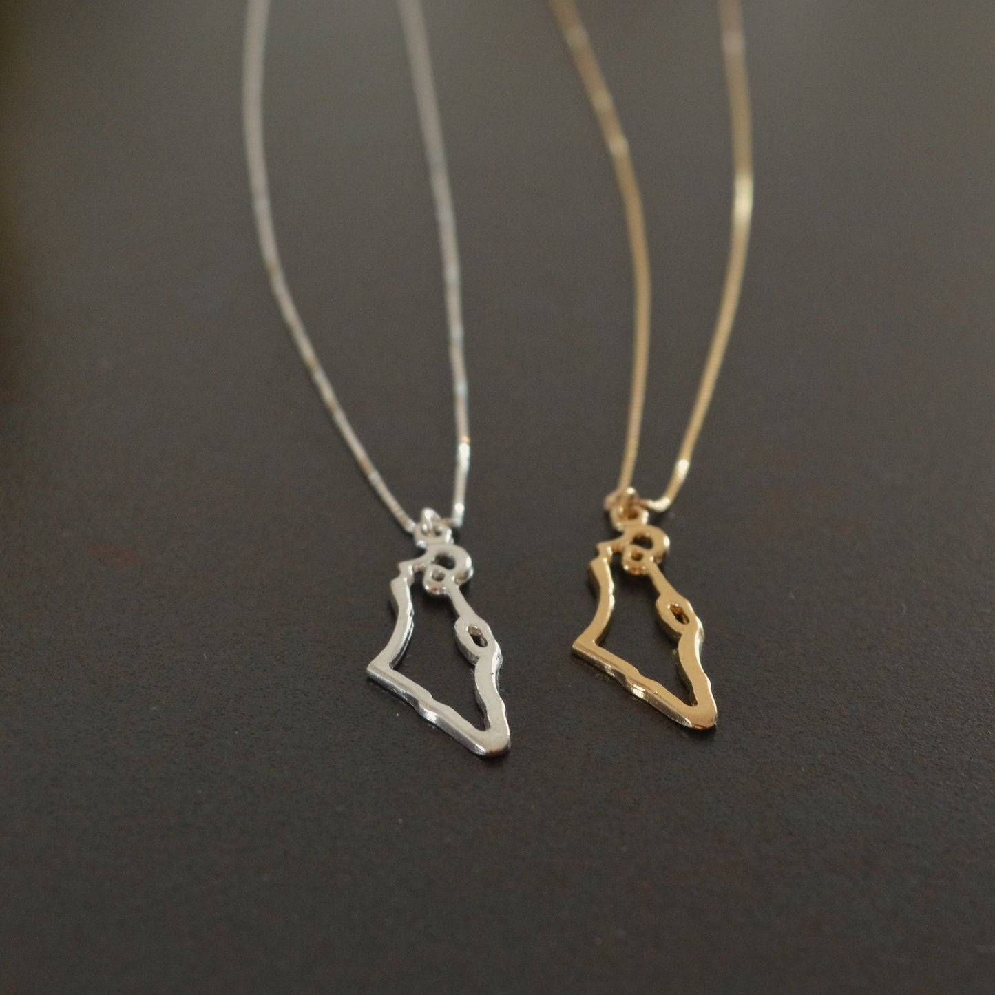 Map of Israel Necklace, Gold Israel Necklace, Holy land Pendant necklace,Israel Map Jewelry, Judaica Necklace,Jewish Jewelry