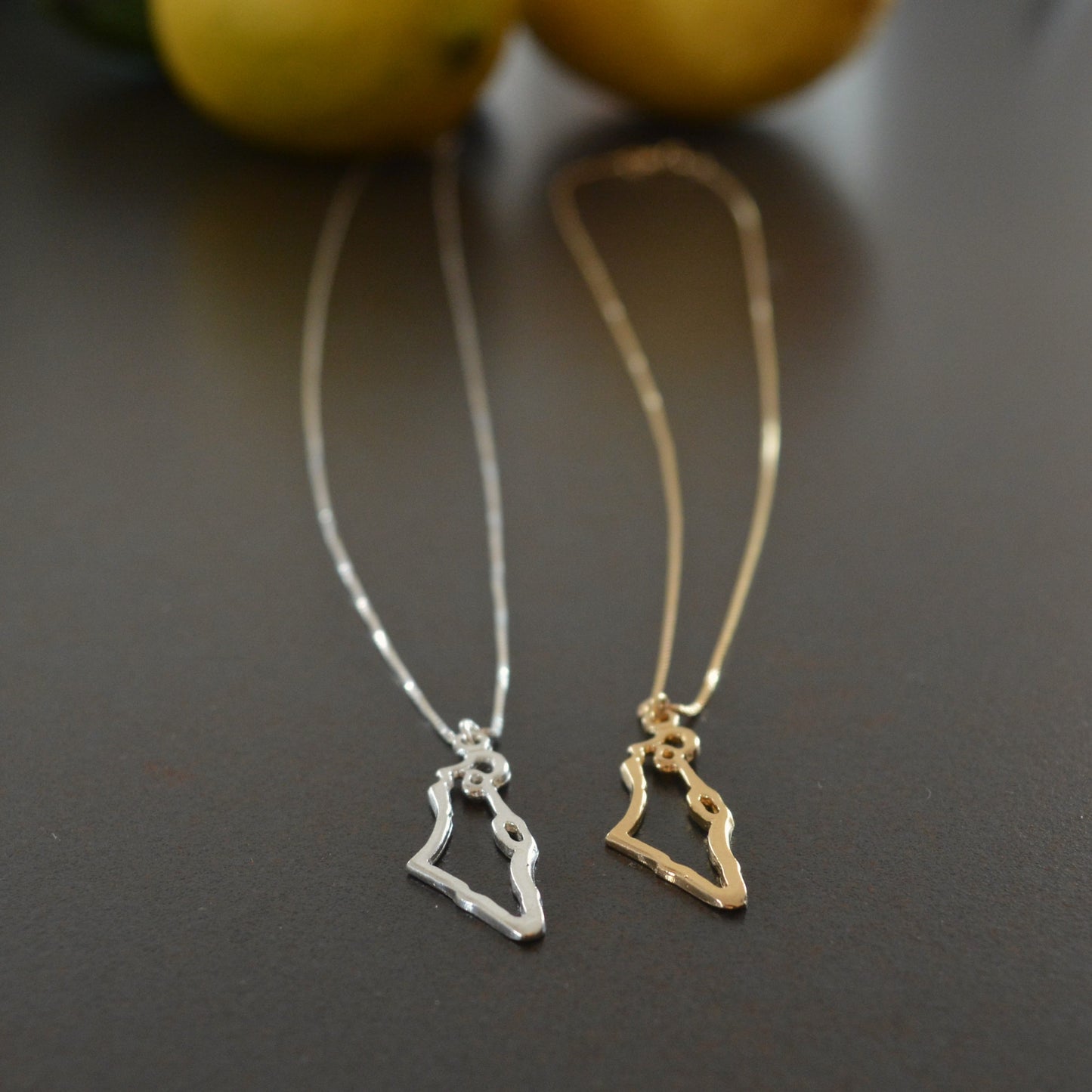 Map of Israel Necklace, Gold Israel Necklace, Holy land Pendant necklace,Israel Map Jewelry, Judaica Necklace,Jewish Jewelry