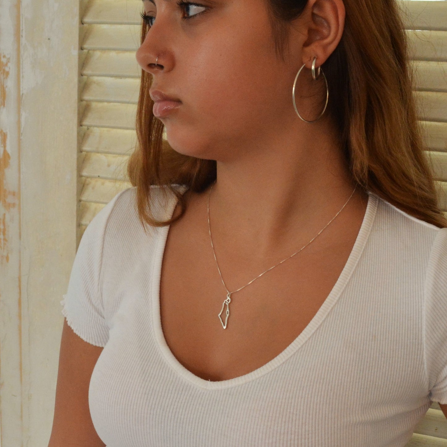Map of Israel Necklace, Gold Israel Necklace, Holy land Pendant necklace,Israel Map Jewelry, Judaica Necklace,Jewish Jewelry