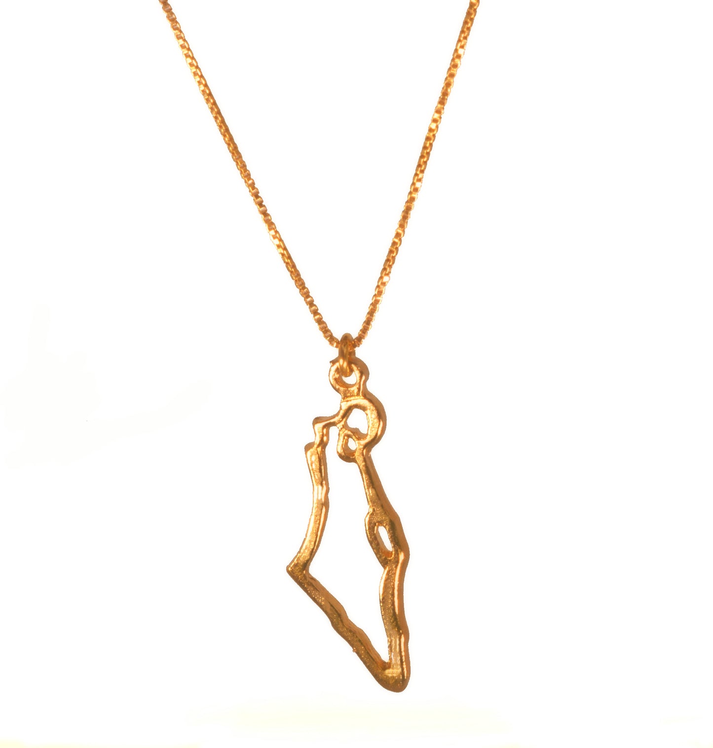 Map of Israel Necklace, Gold Israel Necklace, Holy land Pendant necklace,Israel Map Jewelry, Judaica Necklace,Jewish Jewelry